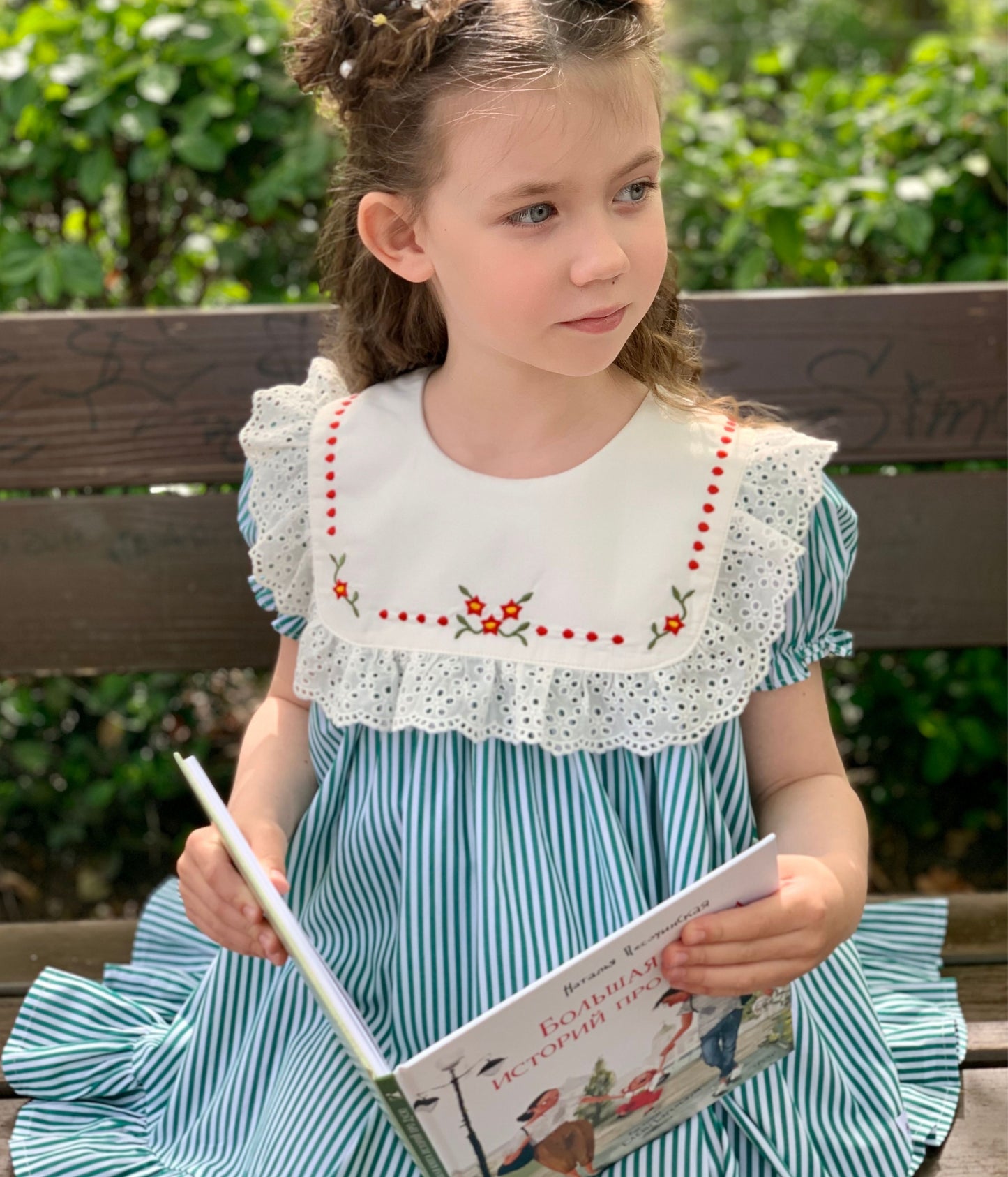 Striped Embroidery Dress