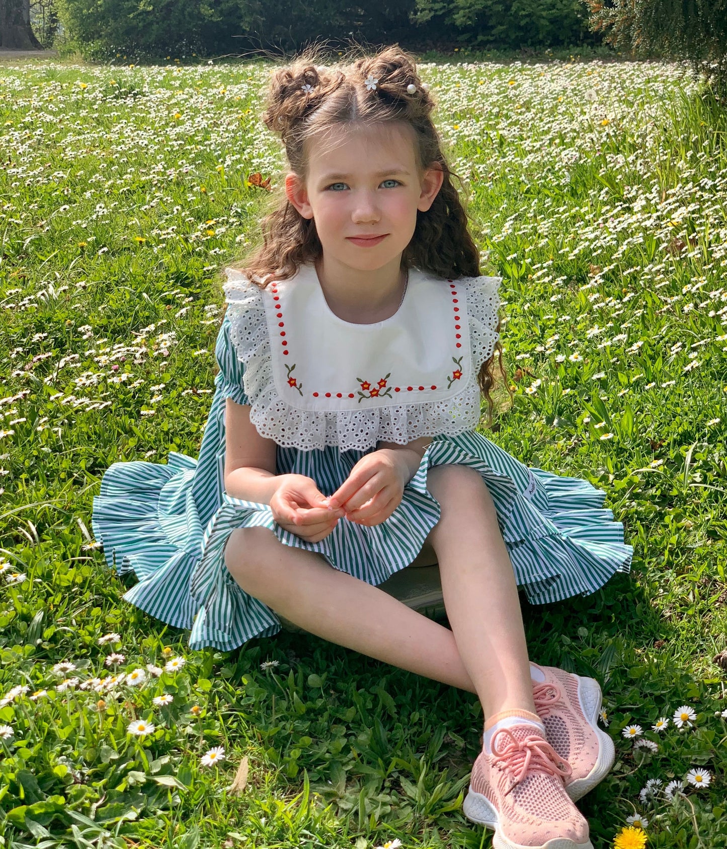 Striped Embroidery Dress