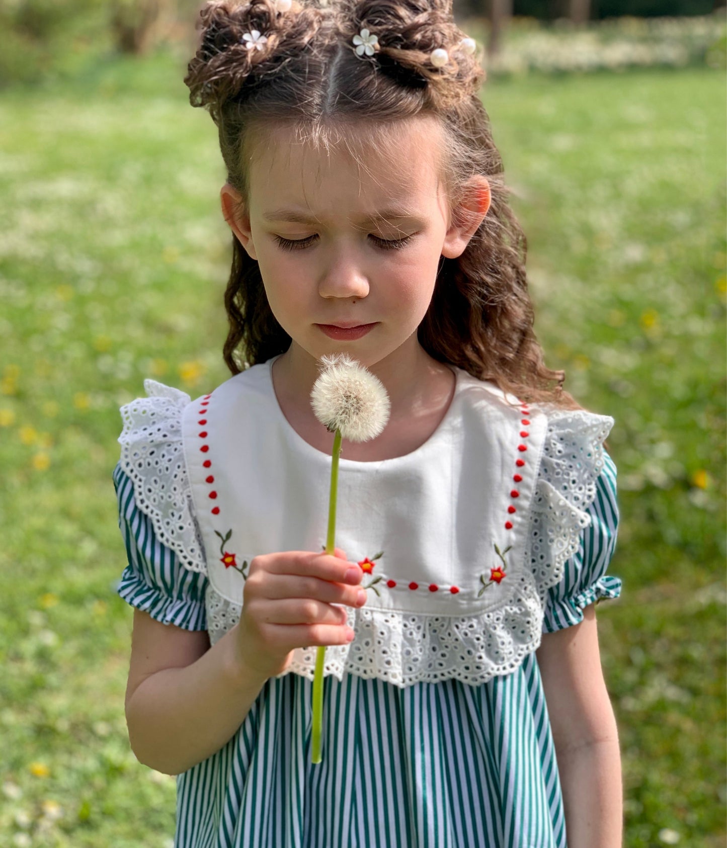 Striped Embroidery Dress