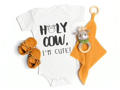 3 Onesie Set Babyshower Gift