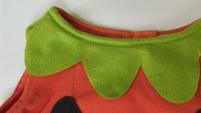 Halloween Pumpkin Costume
