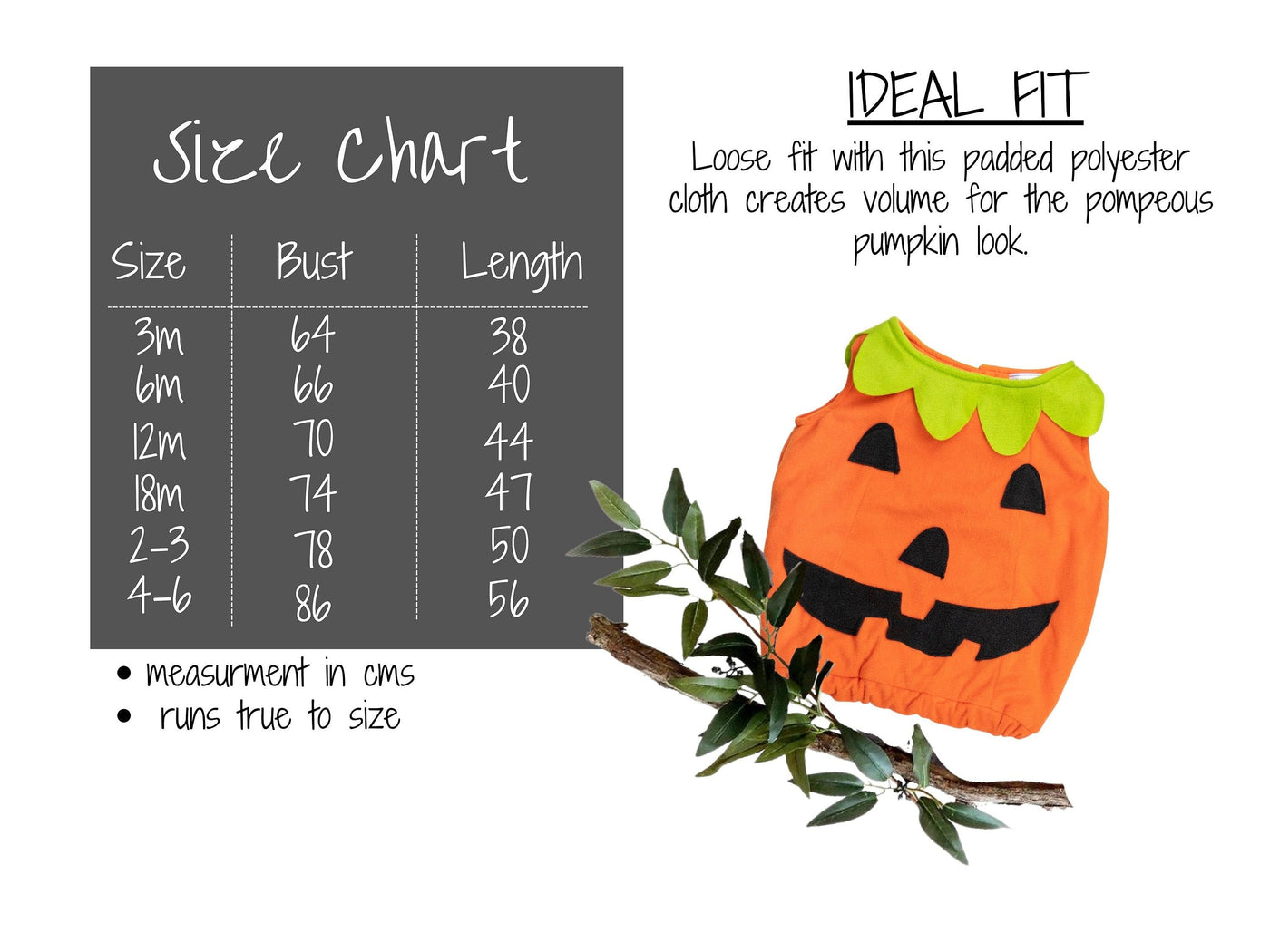 Halloween Pumpkin Costume